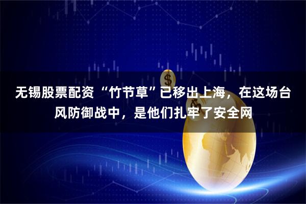 无锡股票配资 “竹节草”已移出上海，在这场台风防御战中，是他们扎牢了安全网